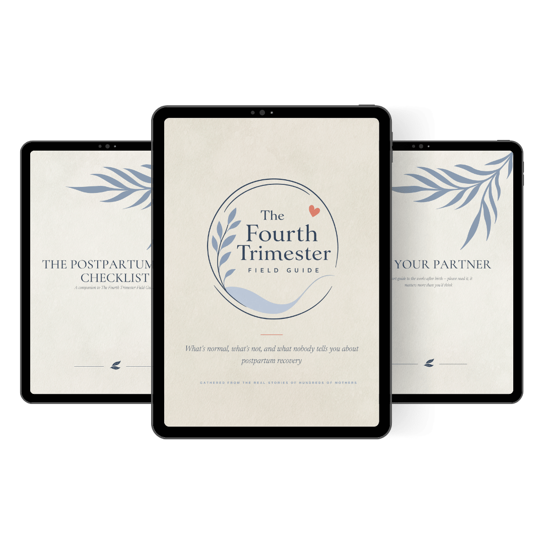 The Fourth Trimester Field Guide — Postpartum Recovery Guide - The Fourth Trimester Field Guide