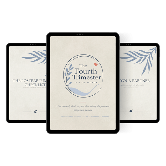 The Fourth Trimester Field Guide — Postpartum Recovery Guide - The Fourth Trimester Field Guide